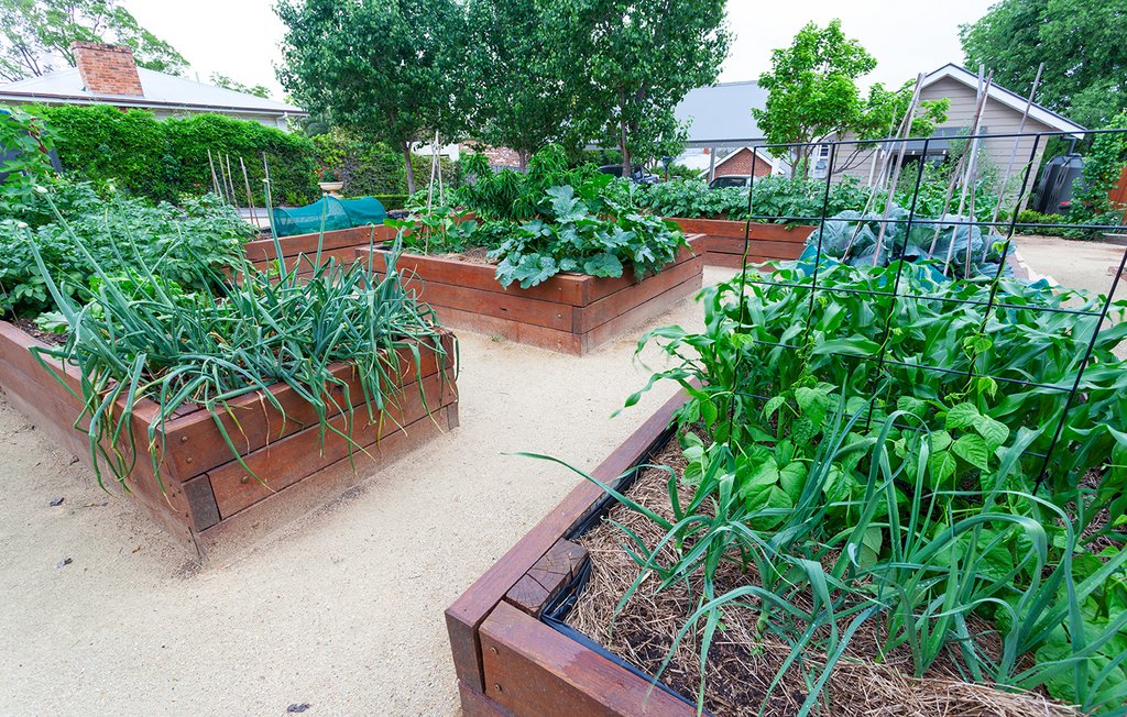 Bacs potagers en bois